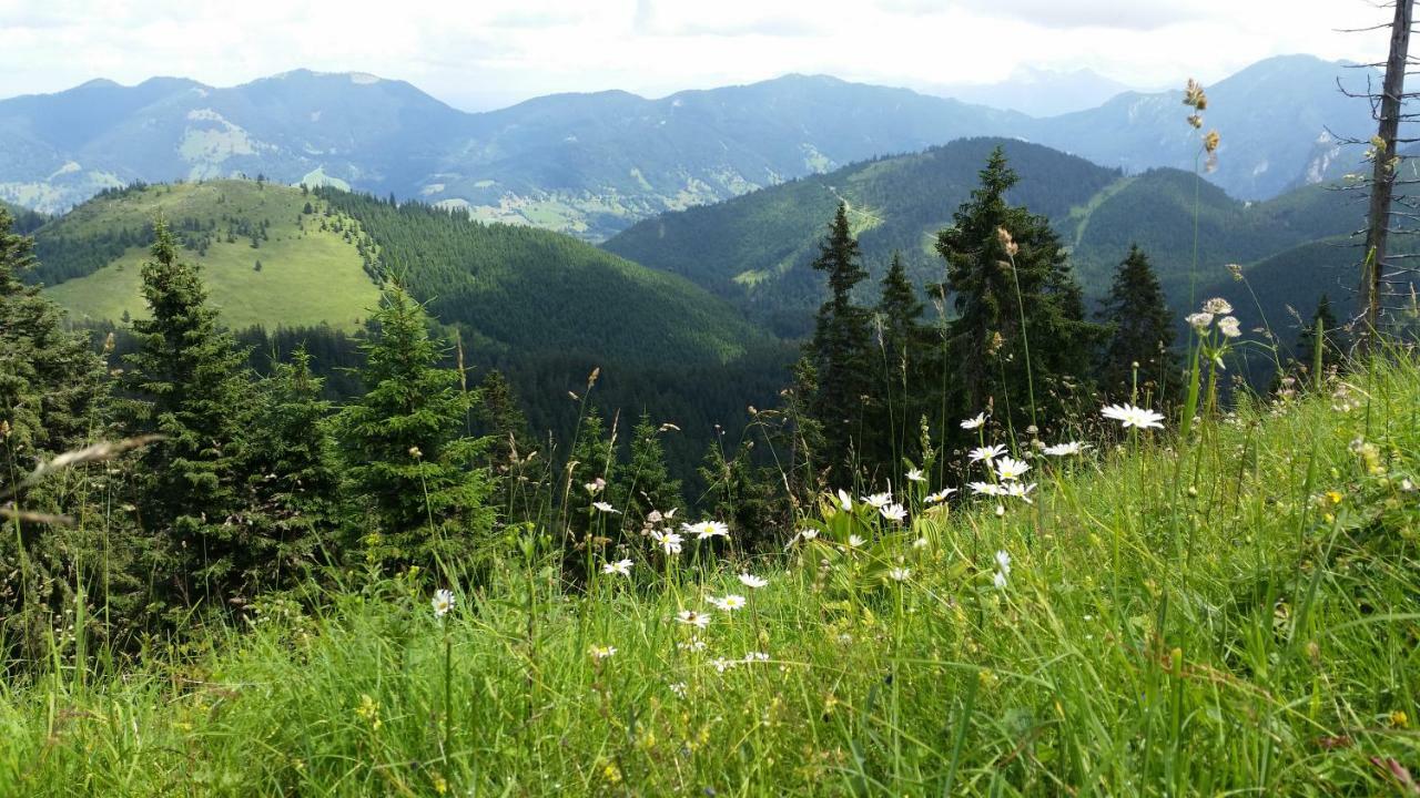 Im-Oberland - Tal - Apartment Bad Kohlgrub Luaran gambar